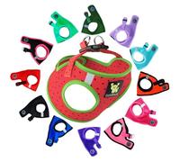 EcoBark Step in Dog Harness Reflective Soft Ultra Padded Mesh Dog Harnesses for XXS, XS, Small, and Medium Dogs Eco-Friendly Comfort Secure Halter No Pull Adjustable Pet Vest