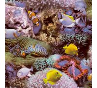 Ecodeco Tropical Fish Ocean Underwater Reef Sea Horse Wallpaper