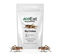 ecoEat Edible Insects Big Black Crickets to Eat - Edible Bugs Edible Dehydrated Crickets - Snack Food Gifts (15g)