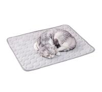 EcoGleam Summer Dog Cooling Mat Washable Pet Sleeping Pad Pet Cooling Mat for Dogs & Cats