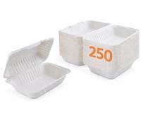 Ecokanta Clamshell Takeaway Boxes, 9x6 inch, 32oz / 900ml, Made from Natural Sugarcane Pulp, Disposable Food Container, Home Compostable Biodegradable, Sugarcane bagasse (250)