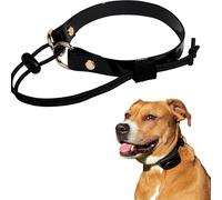 eCollar Replacement Strap Bungee Style - Dog Shock Collar Replacement Strap -Compatible with sportdog & Educator Models (Black, 3/4" - Width)