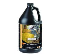 ECOLOGICAL LABS AEL20120 Microbe Lift Barley Straw Extract Pond Conditioners for Aquarium, 1-Gallon