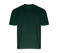 Ecologie Men's Arrow Heavy Oversized T-Shirt in Green | Size: Small Ecologie Green S