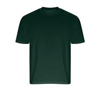 Ecologie Unisex Adult Arrow Heavy Oversized T-Shirt / N/A N/A RW9040