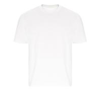 Ecologie Unisex Adult Arrow Heavy Oversized T-Shirt RW9040