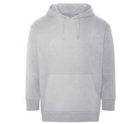 Ecologie Unisex Adult Crater Recycled Hoodie PC5408