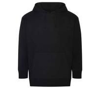 Ecologie Unisex Adult Crater Recycled Hoodie PC5408