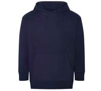 Ecologie Unisex Adult Crater Recycled Hoodie PC5408