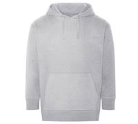 Ecologie Unisex Adult Crater Recycled Hoodie RW9030