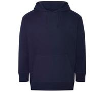 Ecologie Unisex Adult Crater Recycled Hoodie RW9030