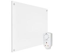 EconoHome Wall Mount Space Heater Panel - 250 Watt Splashproof Convection Heater with Thermostat - Ideal for 100 Sq Ft Room or Bathroom - 240V Electric Heater