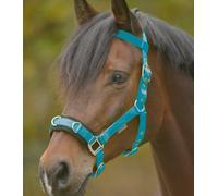 Economic Lunging Halter Azure Blue - Full