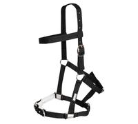 Kincade Nylon Padded Lunge Cavesson - Black - Full