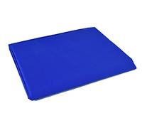 Economy Tubular Slide Sheet - Blue (120 x 70cm)