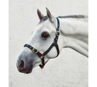Economy Webbing Headcollar - Pony - Green