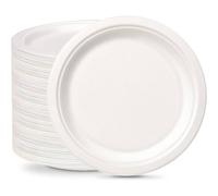 ECONX Disposable Bagasse Plates 10" Large Paper Party Plates For Picnics BBQ in White | Size: 200 Pieces ECONX White 200 Pieces