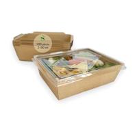 ECOPICNIC 100 Pack Kraft Lunch Boxes with Clear Lids 2100 ml | Disposable Takeaway Food Containers, Eco-Friendly Boxes for Salads, Sandwiches, Desserts, and Snacks