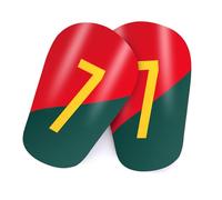 Ecoret-Pro Pack of 2 Mini Shin Pads, Children's Football, Small Shin Pads in Various Sizes, Lightweight, Comfortable, High Impact Resistance for Football Training and Competitions, No. 7 XXS