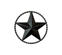 EcoRise Dark Bronze Metal Wall Star Barn Star, Rustic Western Wall Art, 9" Twisted Rope
