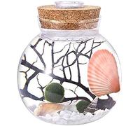 Ecosides LED Aquarium Marimo Kit,Creative Led Night Light Micro Landscape Eco Bottle Glass Terrarium Globe Jar,With Living Moss Balls,Pebbles,Seashell,Black Fan Coral,Gift for Christmas,Wedding Event