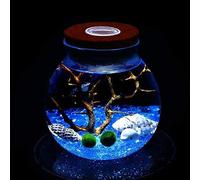 Ecosides LED Aquarium Marimo Kit,Creative Led Night Light Micro Landscape Eco Bottle Glass Terrarium Globe Jar,With Living Moss Balls,Pebbles,Seashell,Black Fan Coral,Gift for Christmas,Wedding Event