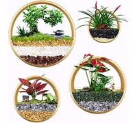Ecosides Set Of 4 White Round Wall Hanging Plant Terrarium Air Plant Holder Wall Hanging Container Succulent Plant Pots In Mixed Size,Gold,Constructive23