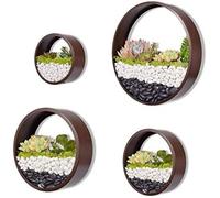 Ecosides Set Of 4 White Round Wall Hanging Plant Terrarium Air Plant Holder Wall Hanging Container Succulent Plant Pots In Mixed Size,Brown,Constructive23