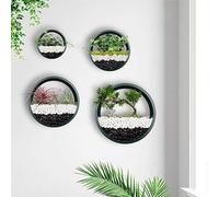 Ecosides Set Of 4 White Round Wall Hanging Plant Terrarium Air Plant Holder Wall Hanging Container Succulent Plant Pots In Mixed Size,Green,Constructive23