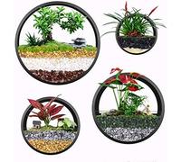 Ecosides Set Of 4 White Round Wall Hanging Plant Terrarium Air Plant Holder Wall Hanging Container Succulent Plant Pots In Mixed Size,Black,Constructive23