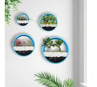 Ecosides Set Of 4 White Round Wall Hanging Plant Terrarium Air Plant Holder Wall Hanging Container Succulent Plant Pots In Mixed Size,Blue,Constructive23