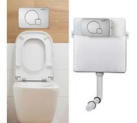 ECOSPA Concealed Dual Flush Cistern with Designer Button, 3L/6L Water-Saving, Universal Fit for Back-to-Wall Toilets, Front Access Design (107S)