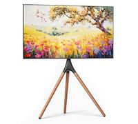 ECOTINY Artistic Easel TV Stand for 43-65 Inch TVs, 180° Swivel Tripod TV Stand up to 88 lbs, Floor TV Mount with Cable Management for Bedroom, Living Room and Corner, Max VESA 600 x 400mm, HW1290BK