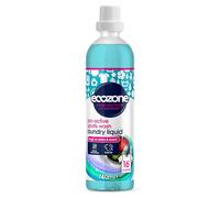 Ecozone Pro-Active Sports Laundry Liquid 750ml