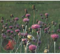 Ecstasy of St Theresa - Free D
