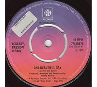 Ecstasy, Passion & Pain - One