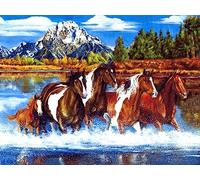 ECUCU Easy Patterns Cross Stitch Kits Animal Horse Galloping Print Landscape Pattern Cross Stitch Kit,40 * 50cm for Adults Kids Girls Home Wall Decoration