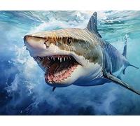 ECUCU Easy Patterns Cross Stitch Kits Sea Life Shark Pattern Cross Stitch Print Embroidery Kit,D for Beginner Kids and Adults