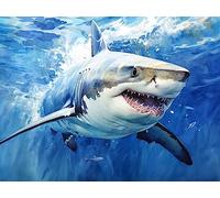 ECUCU Pre Printed Pattern Embroidery Starter Kits Sea Life Shark Pattern Cross Stitch Print Embroidery Kit,G for Adults Kids Girls Home Wall Decoration