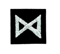 Ecusson Embroidered iron-on patch Viking Odin Witches Rune Alphabet Day