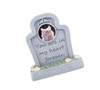 ECVGHD Engraved Words Pet Memorial Tombstone Resin Grave Marker for Pet Rest