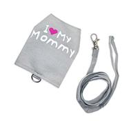 ECVGHD Small Pet Harness and Leash for Bearded Dragons Reptiles Harness Training Suit