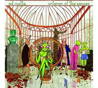 Ed Motta - Criterion Of The Senses