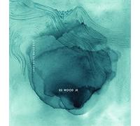 Ed Wood Jr. - Lost.Drive.Water.Exit [10" VINYL]