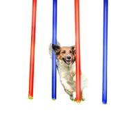 EDCO Maxxpro Agility Slalom Set For Dog Training - 4 Poles With Carry Bag