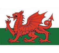 Eddingtons Welsh Dragon Of Wales Tea Towel 100% Cotton