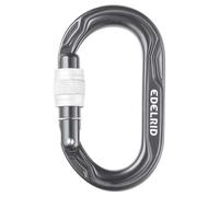 Climbing carabiner Edelrid Kiwi Screw Argenté TU