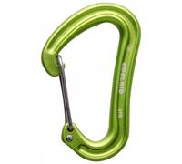 Edelrid Nineteen G - Carabiner Oasis One Size