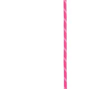 Climbing rope Edelrid Performance Static 10,5 mm Rose 200 m