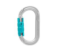 Edelrid - Oval Power 2500 Triple II - Locking carabiner grey
